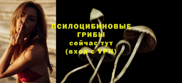шишки Заволжье