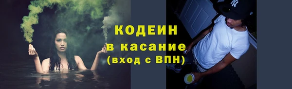 шишки Заволжье