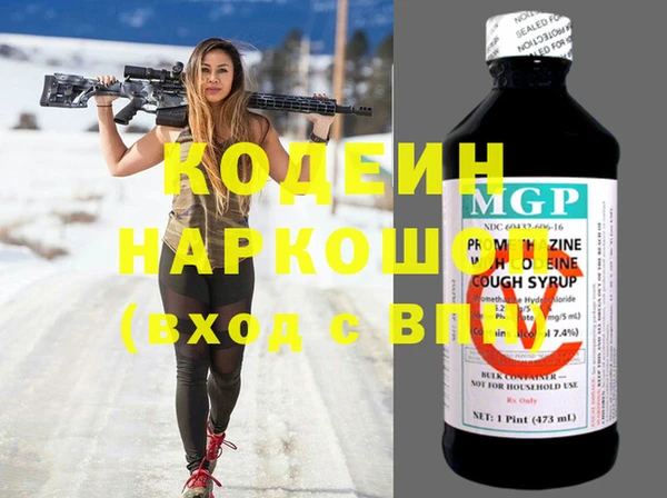 шишки Заволжье