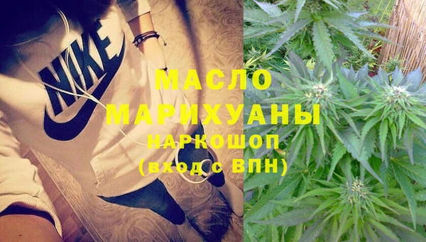 шишки Заволжье