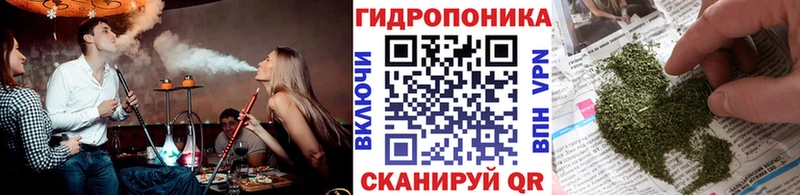 Купить закладки  Чёрмоз  Бошки марихуана OG Kush 